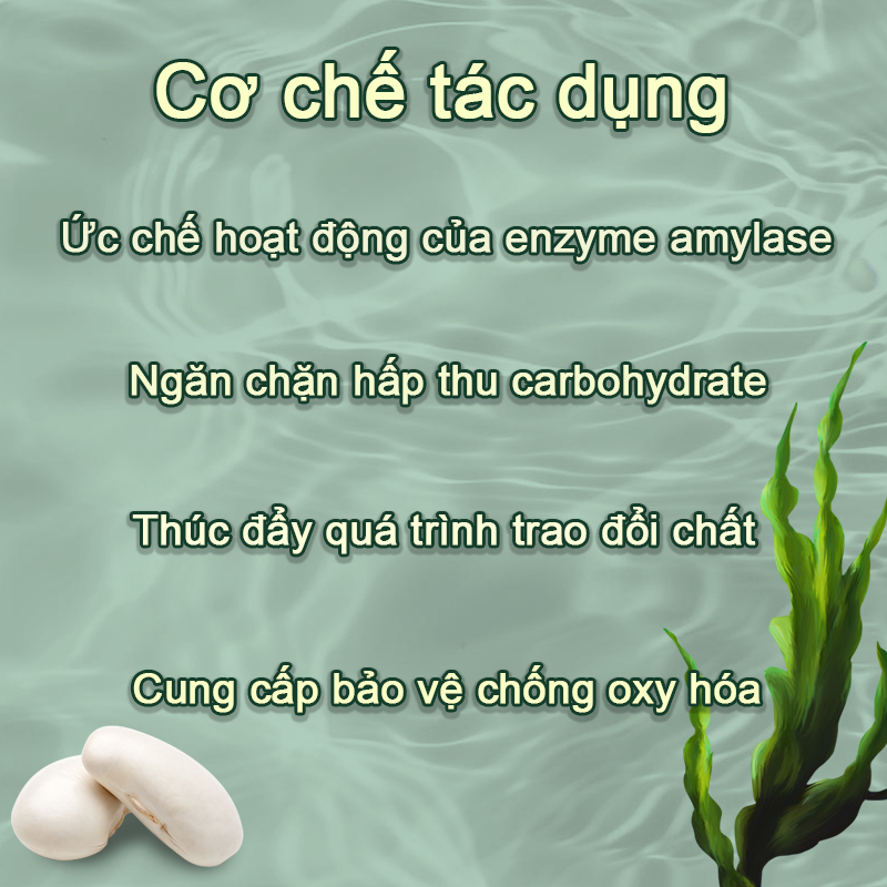 SAUSANDO Trà giảm cân chính hãng, detox nhanh chóng, an toàn, giảm cân hiệu quả, thành công giảm 5-10 kg