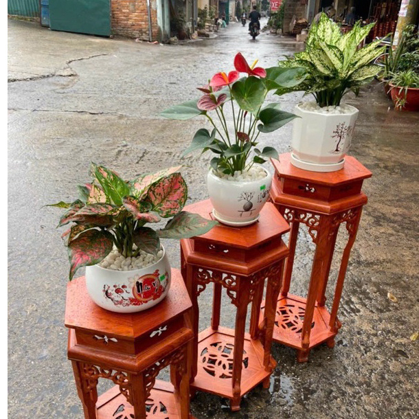 đôn gỗ hương đá mặt 30 cao 40,50,60,70,80