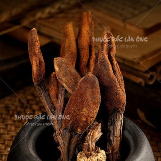 Nấm ngọc cẩu 100g, khô, sạch nguyên búp, bổ thận tráng dương, mạnh gân cốt, tăng cường sinh lý nam