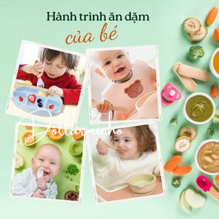 Set ăn dặm silicon cao cấp, khay 4 ngăn tai gấu có đế hít chống đổ Dollar Minho