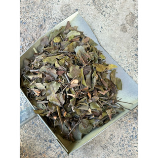 1kg Tang Kí Sinh
