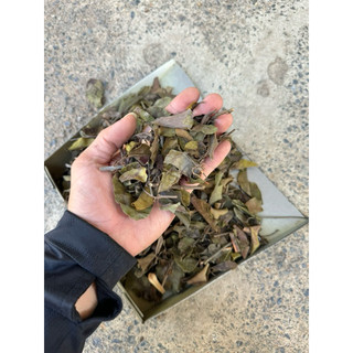 1kg Tang Kí Sinh