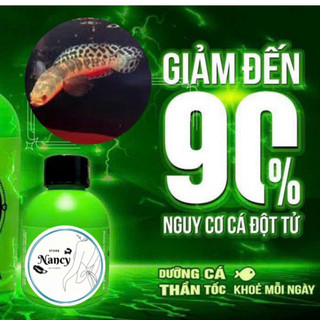 ZERO SHOCK 10ml-250ml – Dưỡng cá và phục hồi cá nhanh chóng tiêu trừ stress nằm đấy hoảng loạn