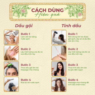 Combo Dưỡng Tóc Bưởi Hồng ABERA - Dầu Gội Đầu Và Tinh Dầu Giảm Rụng Tóc, Chăm Sóc Tóc, Không Sulfate