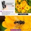 Ống Kính Góc Rộng 0.45x Ống kính 12.5x Macro góc rộng 2 trong 1 Cho ip Android có kẹp gắn dùng