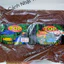 TOP THÁI LAN ALI THỨC ĂN HỖ TRỢ LÊN MÀU CHO CÁ ALI RED PLUS AQUATECH