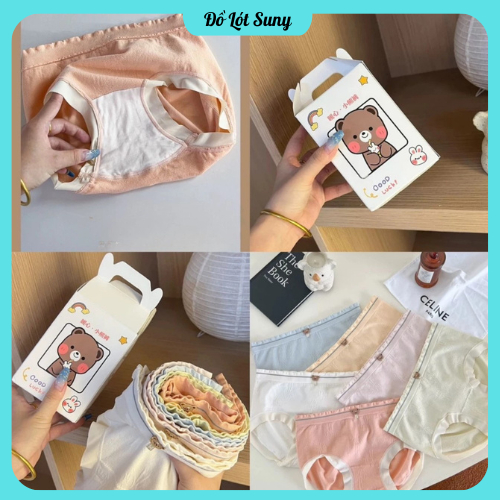 Hộp 6 quần lót nữ, Quần lót nữ gấu chất cotton kháng khuẩn