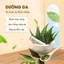 Bột lá neem Ẩn Độ 100g, bột lá vông nem, nguyên chất, thơm mịn, dùng đắp mặt dưỡng da - Lãn Ông