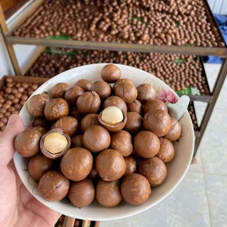 Hạt macca hữu cơ Lai Châu nứt vỏ loại 1 size đại sấy khô từ macca tươi. Quả macca, mắc ca, mac ca sấy sống làm sữa hạt