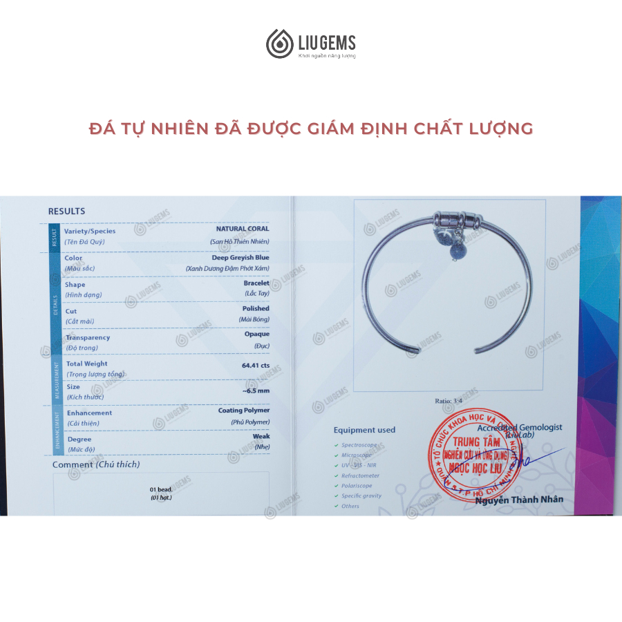 Vòng Tay 12 Cung Hoàng Đạo Chữ C Unisex Liugems Thép Không Gỉ Kết Hợp Đá Tự Nhiên Phong Thuỷ VT02