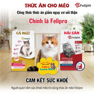 Thức ăn hạt  cho Mèo mọi lứa tuổi Felipro [ 500g - 1kg ] Hải sản, Cá Ngừ Gold giàu dinh dưỡng  __