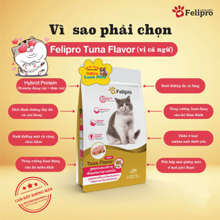 Thức ăn hạt  cho Mèo mọi lứa tuổi Felipro [ 500g - 1kg ] Hải sản, Cá Ngừ Gold giàu dinh dưỡng  __