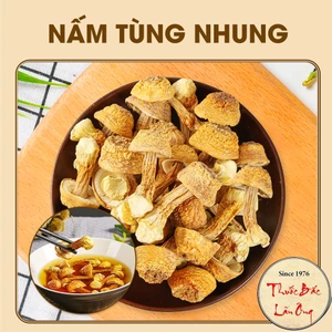 50g Nấm tùng nhung (Nấm quý thiên nhiên bổ dưỡng, hầm canh, nấu lẩu)