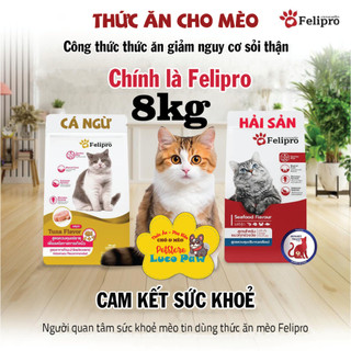 Thức ăn hạt Felipro [ 8kg ] Hải sản,Cá Ngừ Gold giàu dinh dưỡng dành cho Mèo mọi lứa tuổi, Thái Lan_