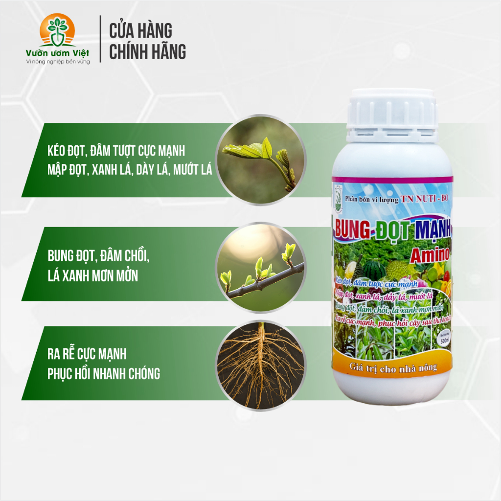 Amino Bung đọt mạnh - vi lượng chống vàng lá, kích rễ nhiều, lá bóng đẹp, dày khỏe - 500ml