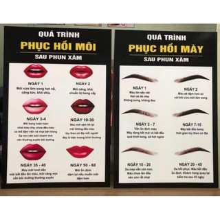 QUY TRÌNH PHỤC HỒI MÀY MÔI 2 TẤM KÍCH THƯỚC 30X40CM