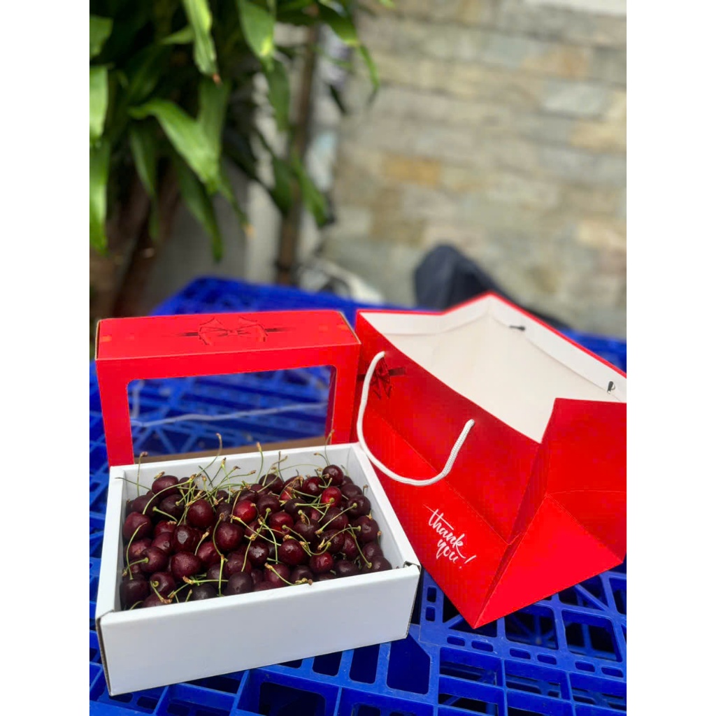 [ JENNY FRUIT ] Cherry NewZealand phiên bản hộp quà tặng 2kg net