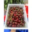 Cherry NewZealand phiên bản hộp quà tặng 2kg net