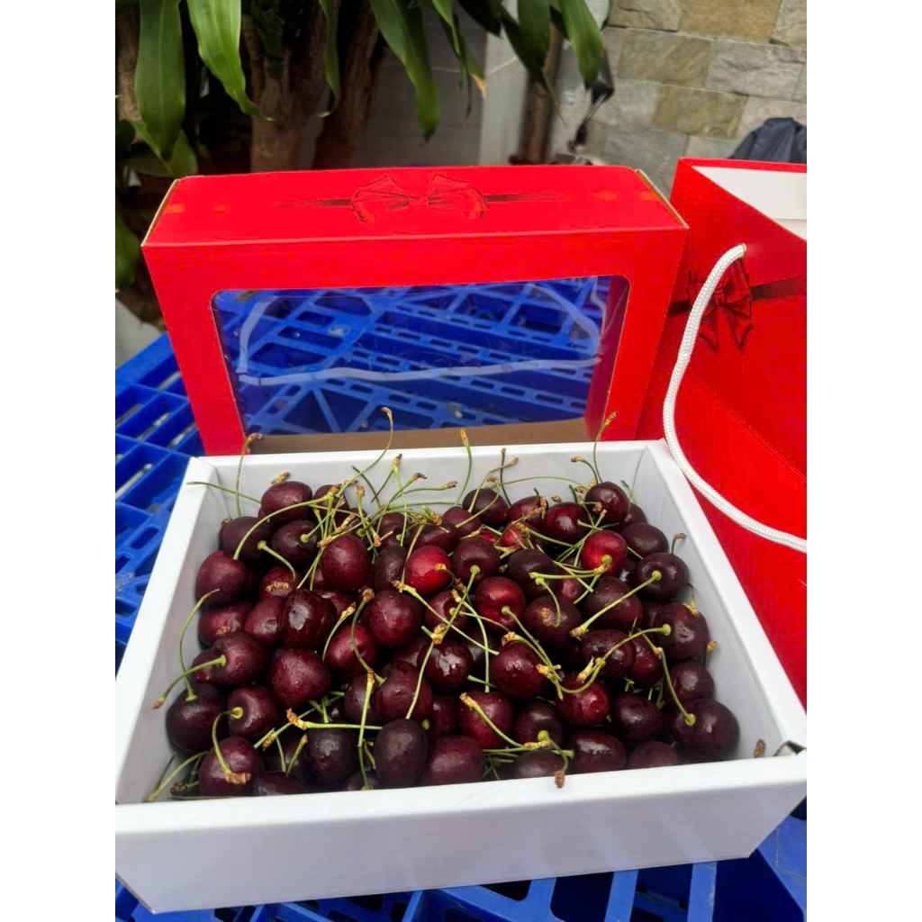[ JENNY FRUIT ] Cherry NewZealand phiên bản hộp quà tặng 2kg net