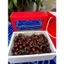Cherry NewZealand phiên bản hộp quà tặng 2kg net