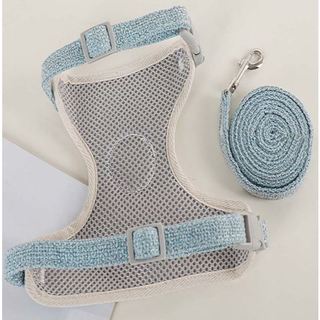 Dây Dắt Yếm mặt chú gấu xinh xắn cho chó mèo đi chơi