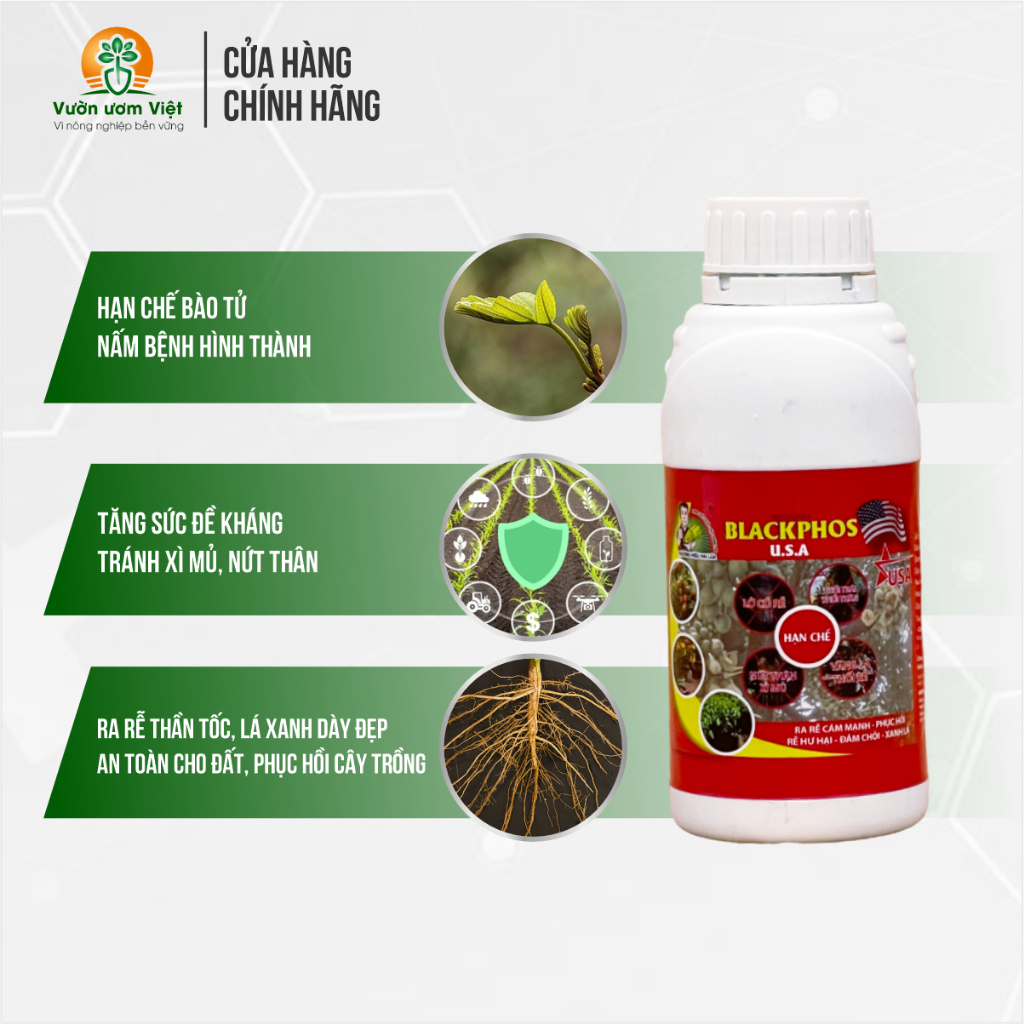Blackphos - lân hai chiều chuyên trị nứt thân, xì mủ, thối rễ, vàng lá, dưỡng rễ mạnh - 500ml
