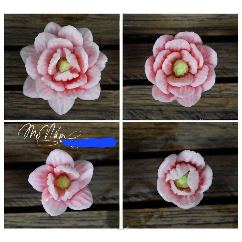Set hoa p15-p18