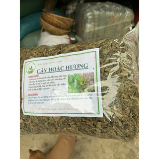 Lá Hoắc Hương Khô 1kg Nguyên Chất | Dược Liệu Khô Chọn Lọc | Thảo Dược Đạt Huyền