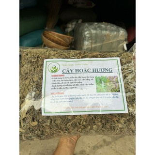 Lá Hoắc Hương Khô 1kg Nguyên Chất | Dược Liệu Khô Chọn Lọc | Thảo Dược Đạt Huyền