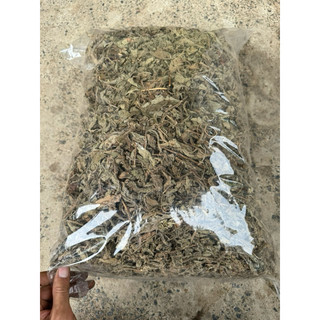 Lá Hoắc Hương Khô 1kg Nguyên Chất | Dược Liệu Khô Chọn Lọc | Thảo Dược Đạt Huyền