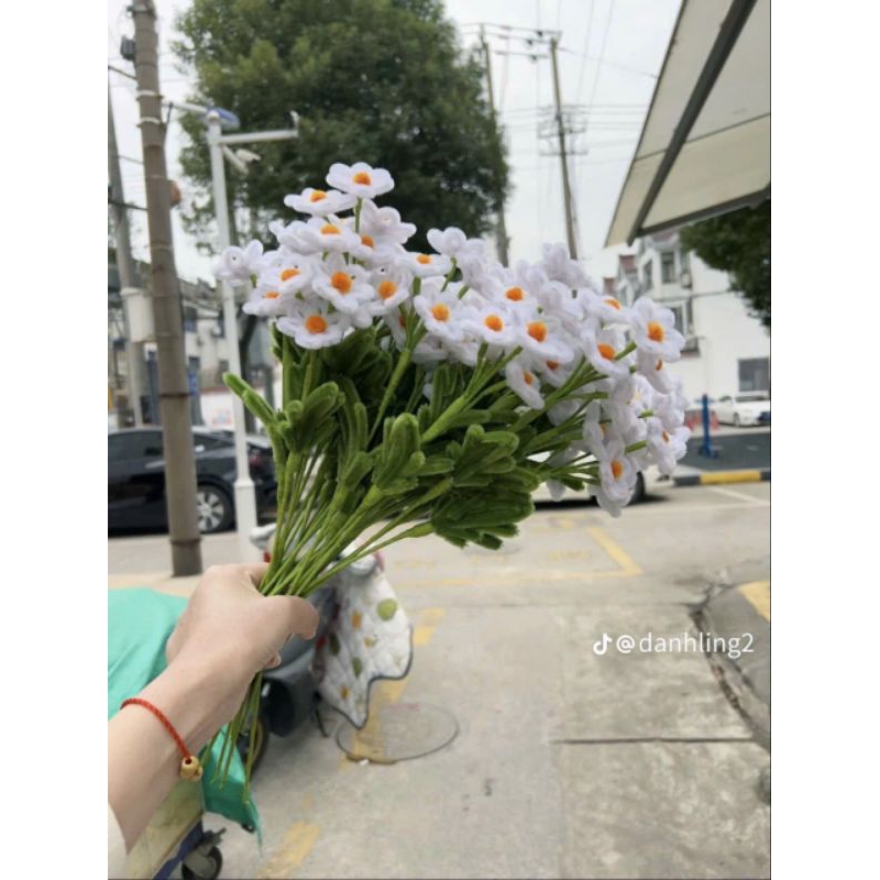 Hoa Cúc Họa Mi Kẽm Nhung Siêu Xinh