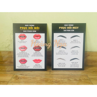 QUY TRÌNH PHỤC HỒI MÀY MÔI 2 TẤM KÍCH THƯỚC 30X40CM