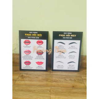QUY TRÌNH PHỤC HỒI MÀY MÔI 2 TẤM KÍCH THƯỚC 30X40CM