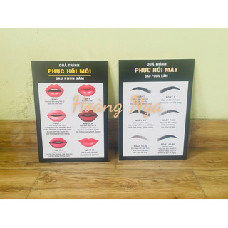 QUY TRÌNH PHỤC HỒI MÀY MÔI 2 TẤM KÍCH THƯỚC 30X40CM