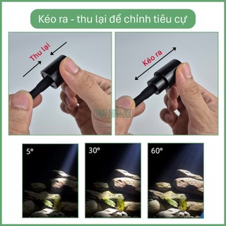 Đèn Rọi Mini Coco - Điều Chỉnh Tiêu Cự - Phù Hợp Bể Cá Cảnh, Bán Cạn, Tiếu Cảnh, Biotop