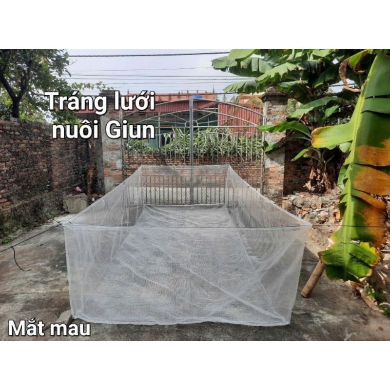 Tráng lưới nuôi giun đất, giun quê, lưới cước mắt nhỏ
