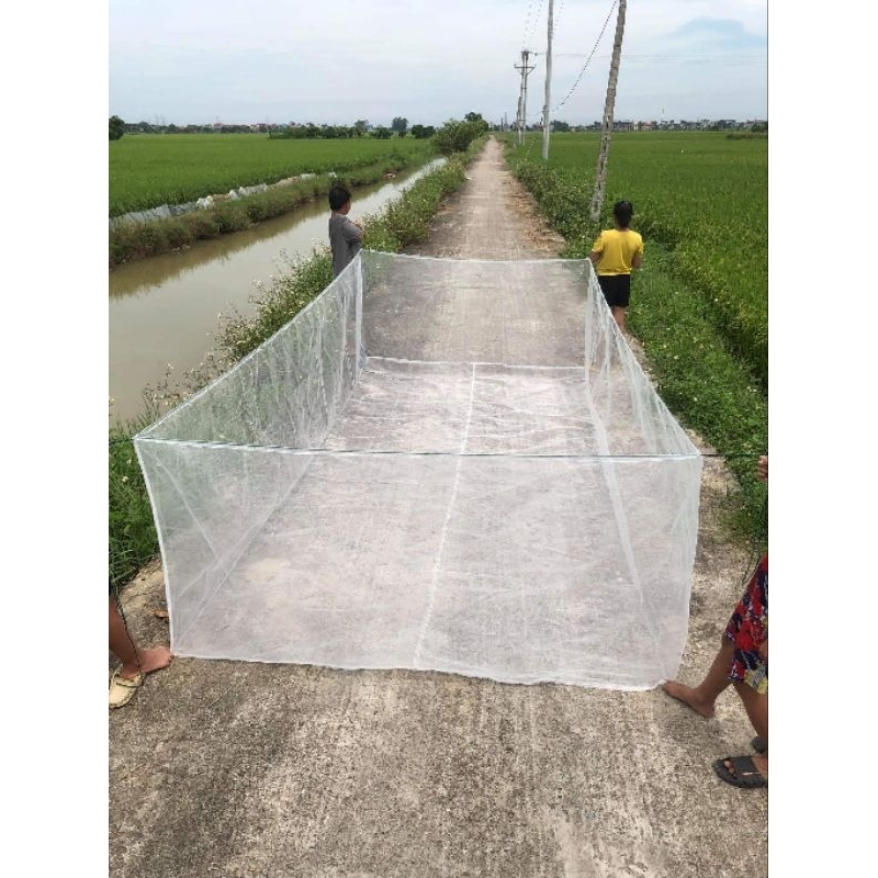 Tráng lưới nuôi giun đất, giun quê, lưới cước mắt nhỏ