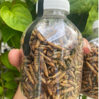 Sâu canxi sấy khô Chai 330ml bổ sung đạm cho cá và hamter