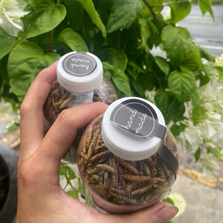 Sâu canxi sấy khô Chai 330ml bổ sung đạm cho cá và hamter