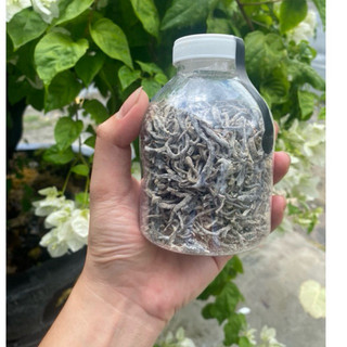 Trùng quế sấy khô Chai 330ml thức ăn cao cấp bổ sung đạm cao cho cá cảnh nói chung và cá lóc nói riêng