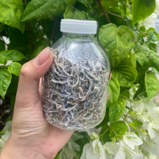 Trùng quế sấy khô Chai 330ml thức ăn cao cấp bổ sung đạm cao cho cá cảnh nói chung và cá lóc nói riêng