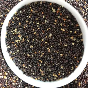 Hạt Kê Đen Bóng Cỏ Thái 500g/1kg - Thức Ăn Dành Cho Chim Vẹt/Yến Phụng/Finch/Chim