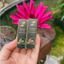 Serum Đánh Bay Nấm Móng, Hư Khóe, Bọng Móng Nặng, Nước Ăn Chân tay
