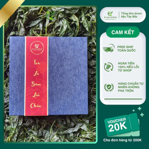 Hộp Trà Lá Sâm Lai Châu cao cấp 12 viên