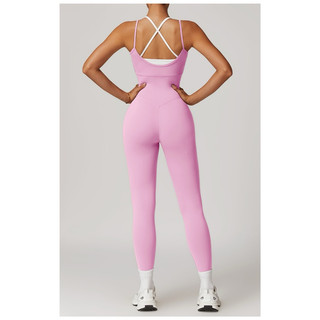 Bộ đồ tập gym,yoga thể thao nữ liền thân quần dài chât poly cao cấp(suit843)