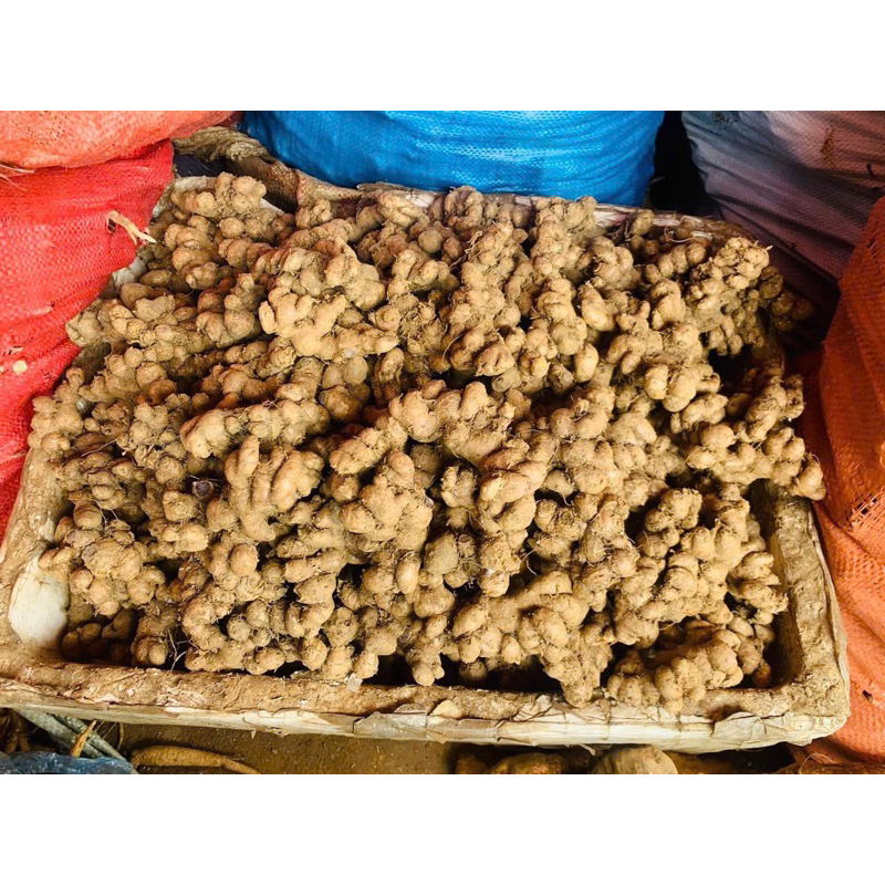 Gừng Đen Lai Châu(Ngải Đen Ngải Tím )Loại lâu năm nhiều dược chất không pha trộn 100% 500gr-1kg