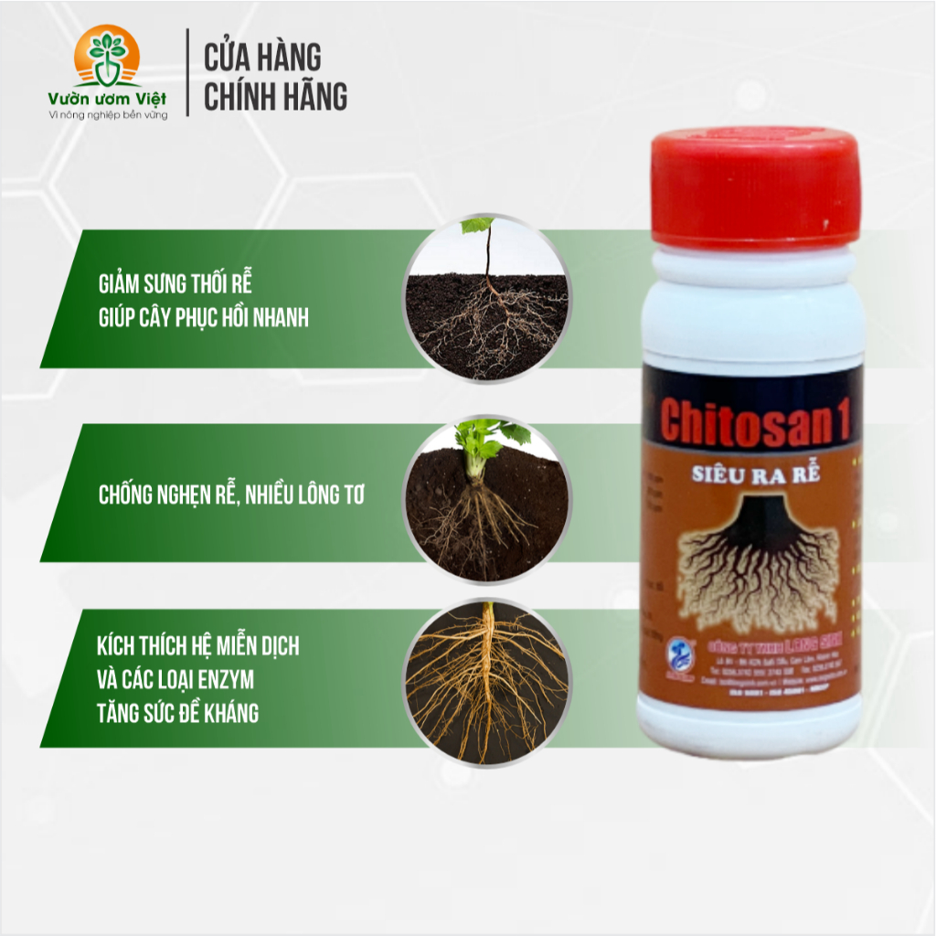 Phân bón Chitosan 1 cung cấp đầy đủ dưỡng chất thiết yếu cho cây sinh trưởng tốt, phát triển tốt đa