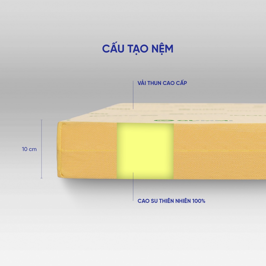 Ảnh Nệm Cao Su Thiên Nhiên 100% Gummi Standard 2.0 10cm Vua Nệm, Mùi Hương Vani 4