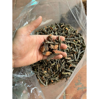 [ Giá tốt ] 1kg Tầm gửi cây gạo tía, phơi khô sạch, mới LOẠI 1