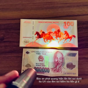 ⭐XÃ KHO⭐ Combo 13 Tờ Tiền Hình Mã Đáo Thành Công Macau Lưu Niệm Số Seri Đẹp VIP (Sảnh Rồng, FULL 0-9, Taxi 68-79)